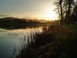Wiesensee (Hemsbach)-3