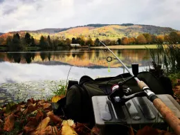 Wiesensee (Hemsbach)-1