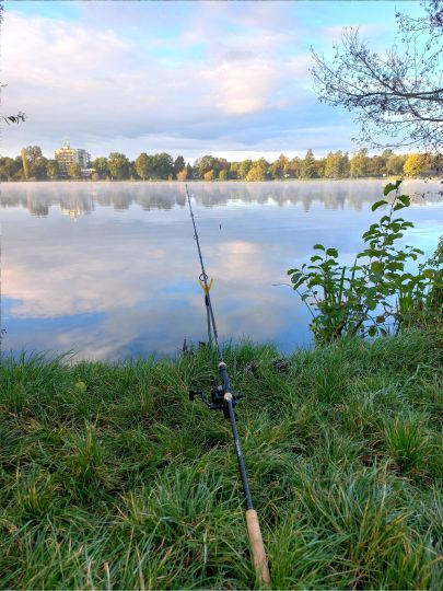 Wiesensee (Hemsbach)-4
