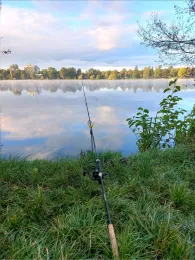 Wiesensee (Hemsbach)-4