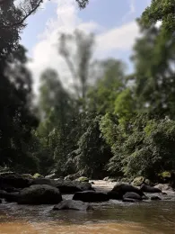 Chemnitz (Chemnitz)-4