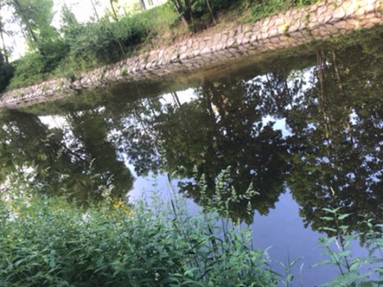 Chemnitz (Chemnitz)-1