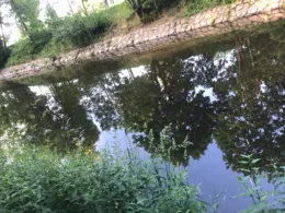 Chemnitz (Chemnitz)-1