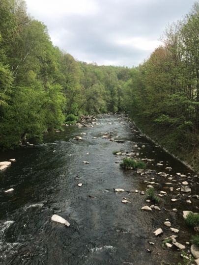 Chemnitz (Chemnitz)-2