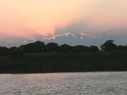 Eider (Pahlen-Dörpling)