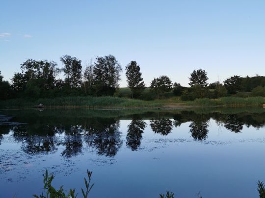 Lendsiedler See