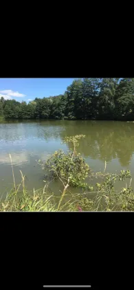 Sägeweiher (Schopfloch)