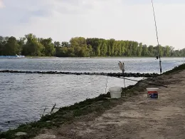 Rhein (Eggenstein)-2