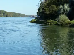 Rhein (Eggenstein)-1