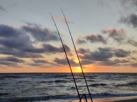 Nordsee (Bjerregård)