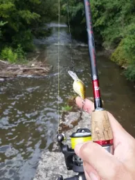 Gersprenz (Harreshausen)-1