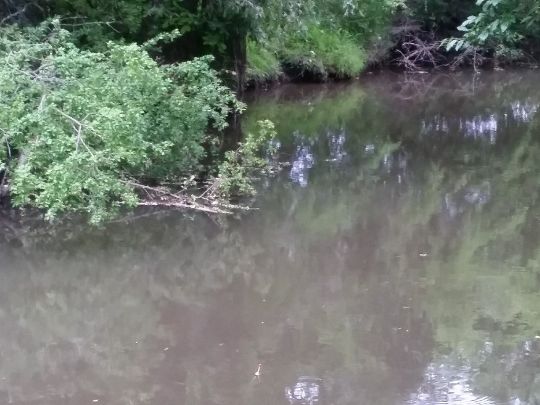 Gersprenz (Harreshausen)-2