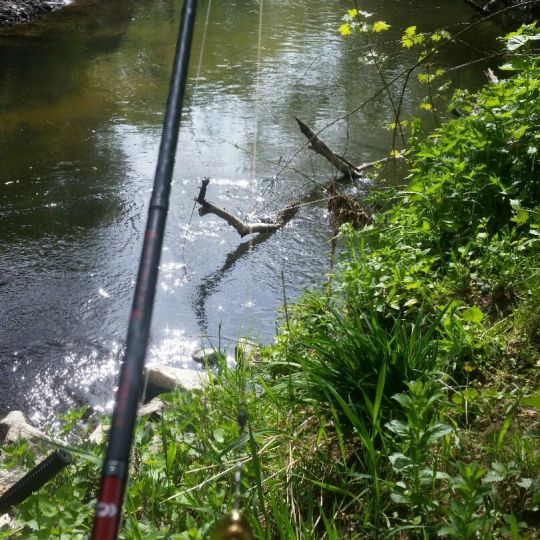 Gersprenz (Harreshausen)-4