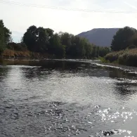 Werra (Dankmarshausen)-3