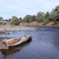 Werra (Dankmarshausen)-2