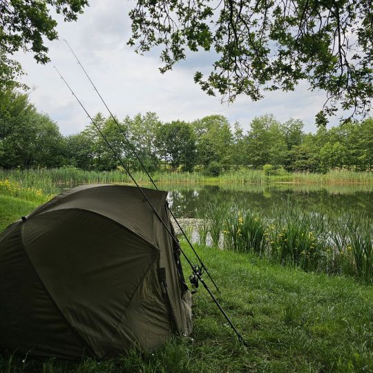 Waldsee (Burg Dithmarschen)-1