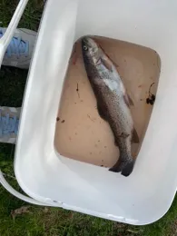 Angelteiche Naturefish-2