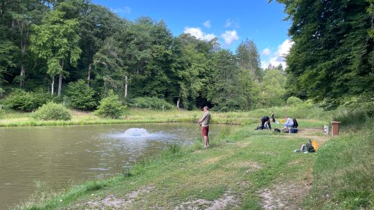 Angelteiche Naturefish-2