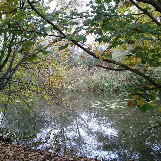 Schwarzes Loch (Zachow)-4