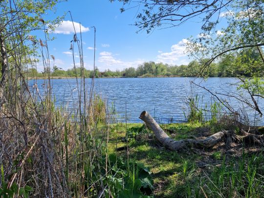 Schwarzes Loch (Zachow)-3