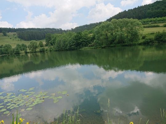 Grimmelbach-Stausee angeln
