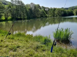 Grimmelbach-Stausee (Kaltennordheim)