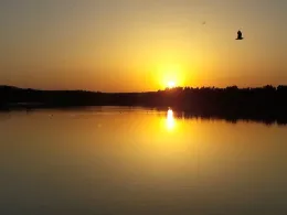 Rußweiher (Eschenbach)-3