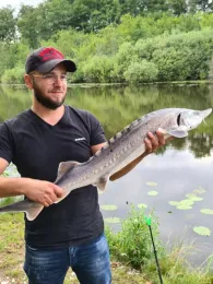 Mühlweiher (Hirschau)