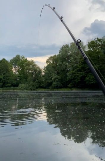 Bergwerksteich (Nidda)-1