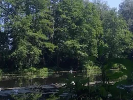 Bergwerksteich (Nidda)-3