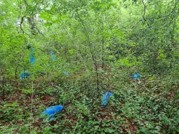 Fuchsbruch (Klein Kreutz)