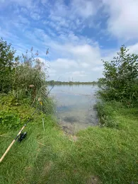 Großer Meiersee (Manching)