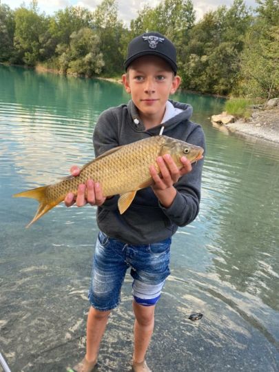 Galinasee