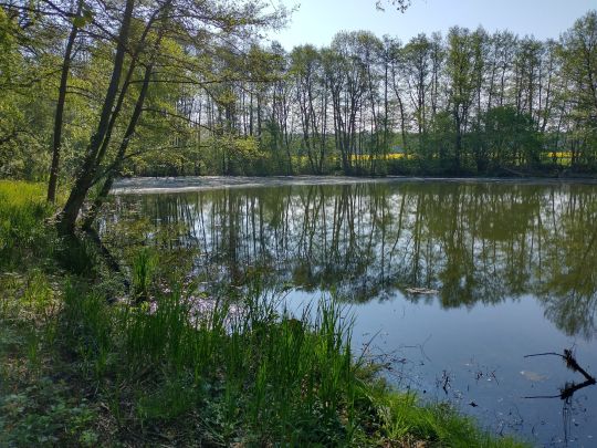 Birnbaummühle (Gräfenhainichen)-1