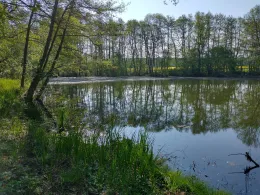 Birnbaummühle (Gräfenhainichen)-1