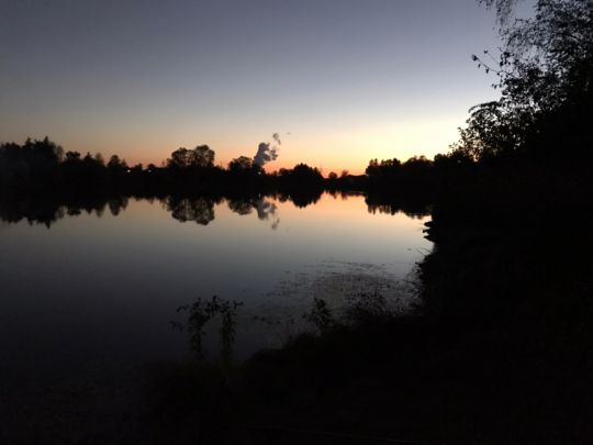 Rosensee (Lauingen)-1