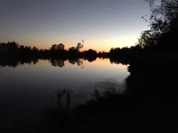 Rosensee (Lauingen)-1