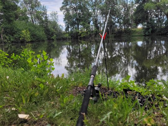 Neuer Teich (Meineweh)-4