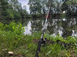 Neuer Teich (Meineweh)-4