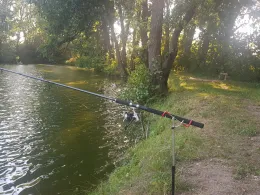 Neuer Teich (Meineweh)-2