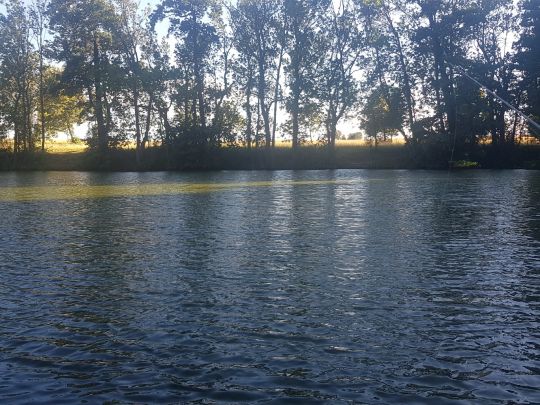 Neuer Teich (Meineweh)-3