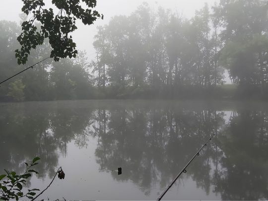 Neuer Teich (Meineweh)-1