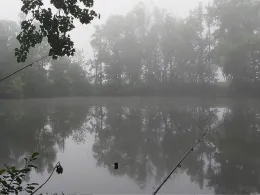 Neuer Teich (Meineweh)-1