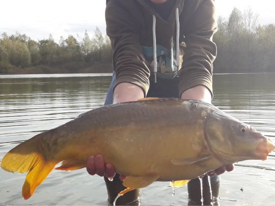 Vereinssee am Tannengrund (Owschlag)-0