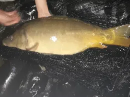 Vereinssee am Tannengrund (Owschlag)-3