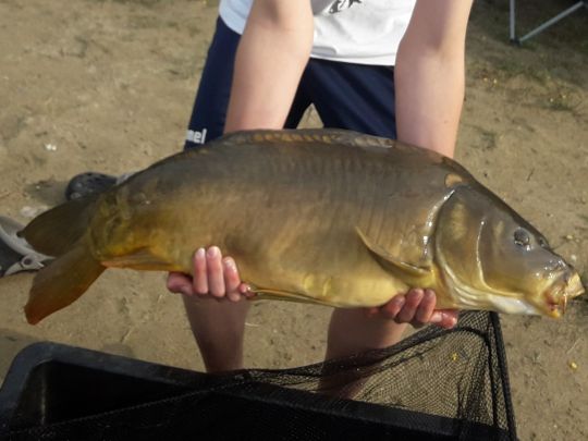 Vereinssee am Tannengrund (Owschlag)-4