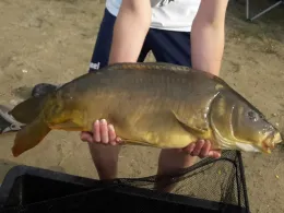 Vereinssee am Tannengrund (Owschlag)-4