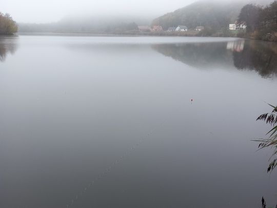 Étang de Baerenthal-3