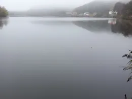 Étang de Baerenthal-3