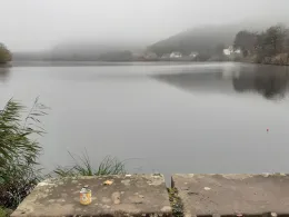 Étang de Baerenthal-1